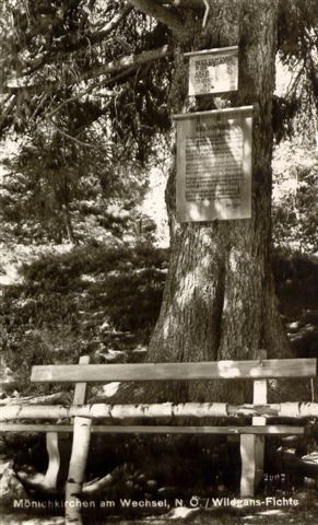 Mönichkirchen, Anton Wildgans Fichte mit Gedenktafel, 05