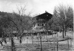 1917, 100,  Andergasse 3, Mödling, Haus von Anton Wildgans