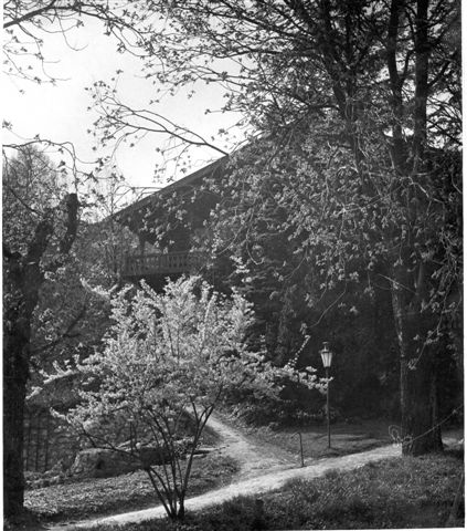 1917, 134,  Andergasse 3, Mödling, Haus von Anton Wildgans