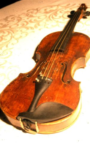 Geige von Anton Wildgans